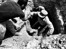 چمران فرمانده جنگ‌های نامنظم