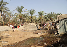 نهرهای بی‌آب، نخل‌های بی‌سر