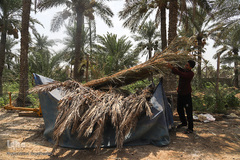 نهرهای بی‌آب، نخل‌های بی‌سر