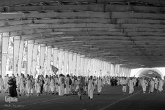 عزیمت زائرین بیت الله الحرام به عرفات