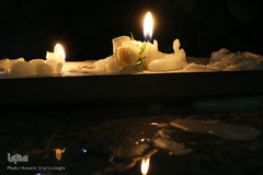 شام غریبان حسینی در جوار کریمه اهل بیت(ع)