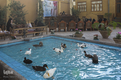 آغاز مسابقات دارالقرآن امام علی(ع) در بخش بانوان