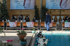 آغاز مسابقات دارالقرآن امام علی(ع) در بخش بانوان