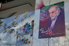 سبز و سفید و قرمز، پایدار و استوار