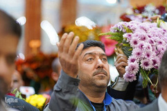 گل آرایی حرم مطهر امام حسین( ع) به مناسبت اعیاد شعبانیه