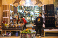 شیراز به استقبال بهار می رود