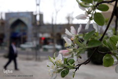 نوروز بهاری تهران