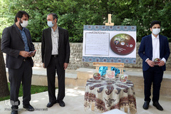 مراسم رونمایی از ترتیل کل قرآن کریم محمدرضا جعفرپور، حافظ کل و قاری نوجوان