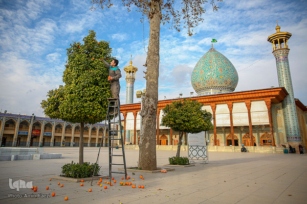 به مناسبت سالروز بزرگداشت شاهچراغ(ع)