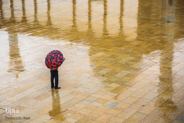 به مناسبت سالروز بزرگداشت شاهچراغ(ع)