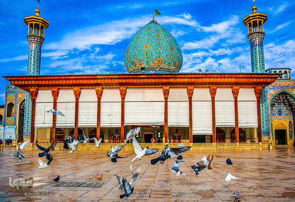 به مناسبت سالروز بزرگداشت شاهچراغ(ع)