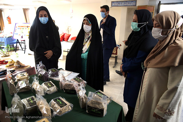 نشست «حمايت از زنان كارآفرين در دوران كرونا با تاكید بر بازار ديجیتال» در ژاپن و ایران