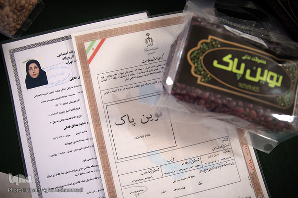 نشست «حمايت از زنان كارآفرين در دوران كرونا با تاكید بر بازار ديجیتال» در ژاپن و ایران