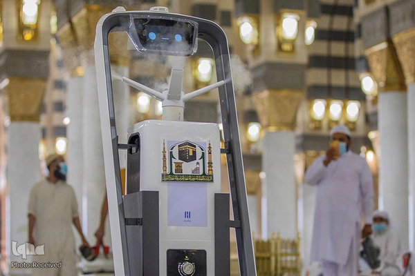 حجاج در سرزمین وحی