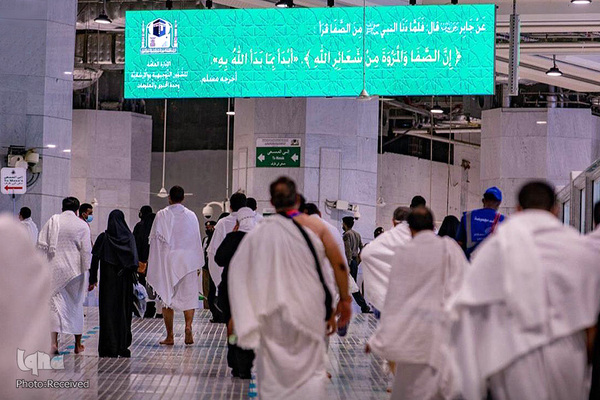 حجاج در سرزمین وحی