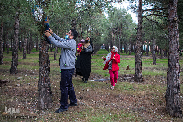 جواد فروغی، مدال آور المپیک توکیو