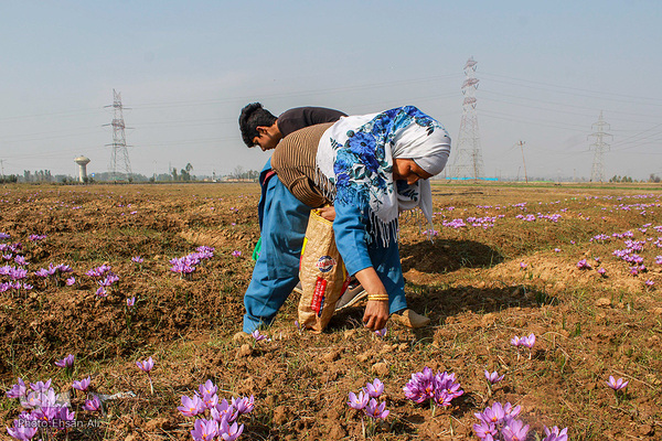 کشمیر؛ سرزمین زیبایی‌های طبیعی و مردمان باایمان