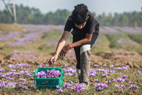 کشمیر؛ سرزمین زیبایی‌های طبیعی و مردمان باایمان