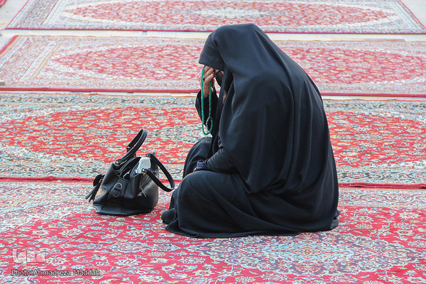 آغاز نخستین همایش ملی «سیمای حضرت شاهچراغ(ع) در تعزیه»‎‎