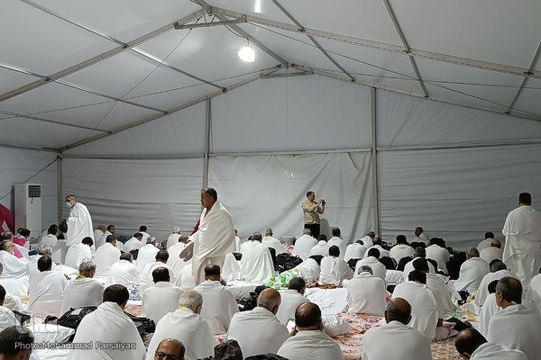 دعای عرفه حجاج ایرانی در صحرای عرفات