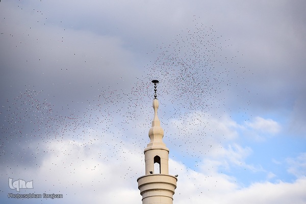 آغاز جشن‌های بهار ایران