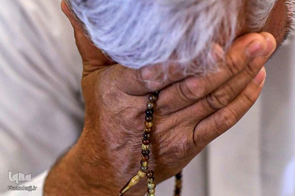 مراسم دعای کمیل در مدینه