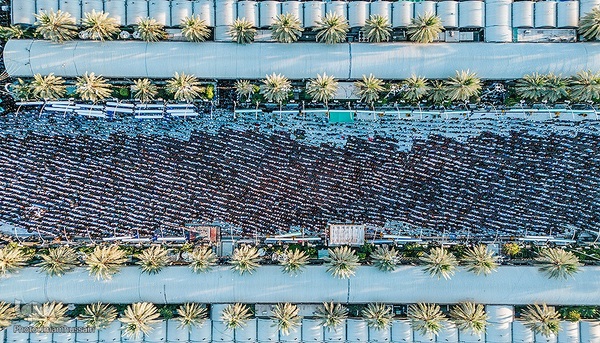 مراسم نماز عید قربان در جوار حرم امام حسین و برادرش عباس (ع)