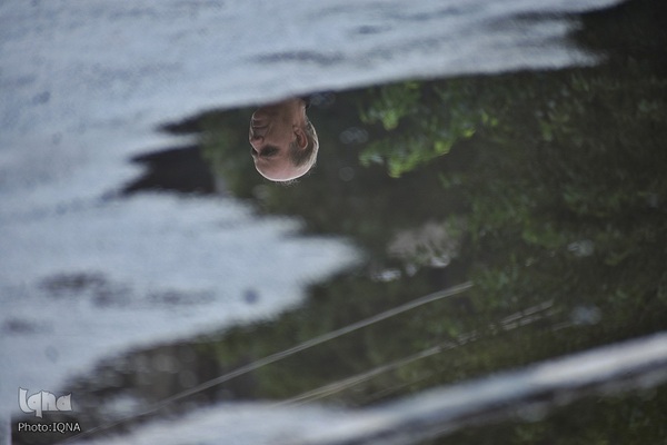 عزاداری ماه محرم در کشمیر هندوستان