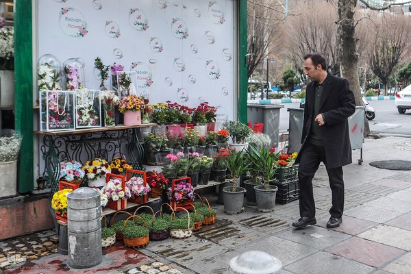 صدای پای بهار