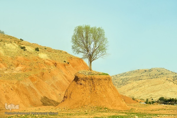 پیوند انسان و طبیعت در اندیکا