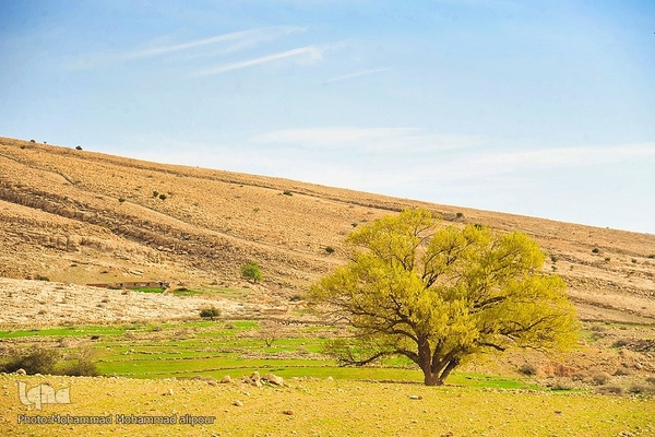 پیوند انسان و طبیعت در اندیکا