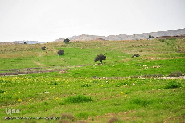 پیوند انسان و طبیعت در اندیکا