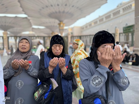 حال و هوای مسجدالنبی در ایام حج