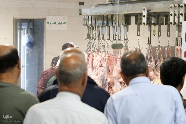 خرید و ذبح دام عید قربان در تهران