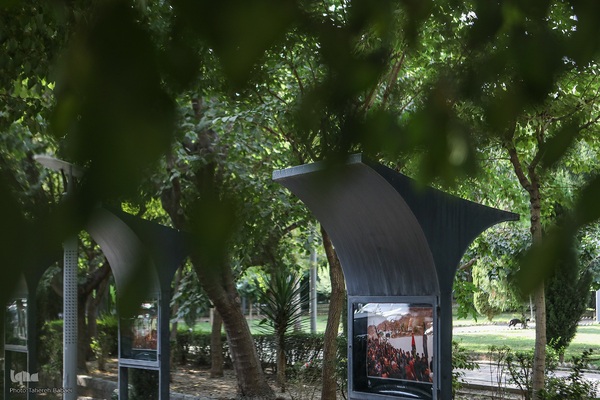 نمایشگاه عکس‌ «نوبهار ماتم شد»