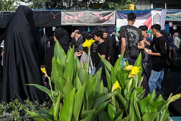 پیاده‌روی جاماندگان اربعین(2)