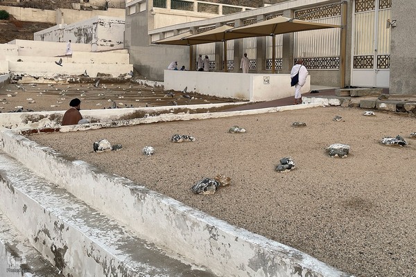 حال و هوای قبرستان ابوطالب،در روز شهادت حضرت زهرا سلام الله علیها