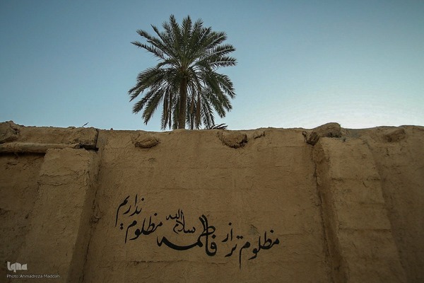 بیستمین سال یادمان یاس کبود در دیار فاطمیون