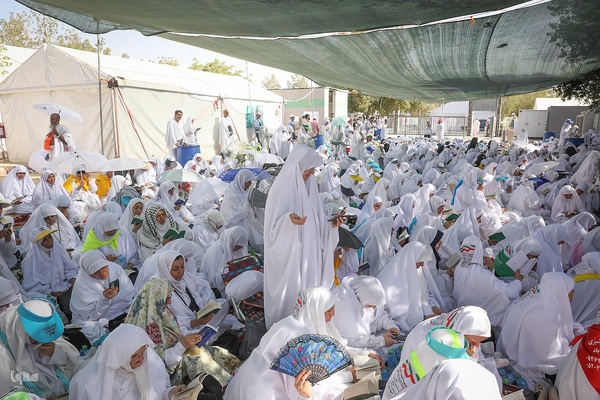 دعای عرفه زائران ایرانی در صحرای عرفات