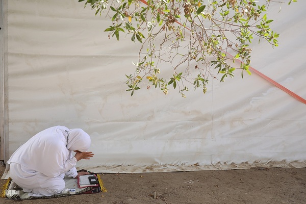 دعای عرفه زائران ایرانی در صحرای عرفات