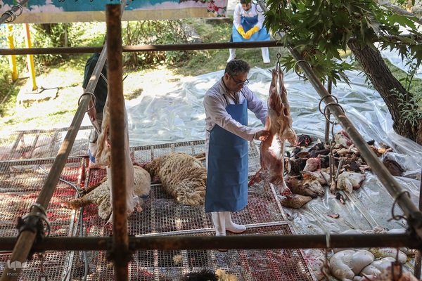 عید قربان، عید همدلی؛ ذبح بهداشتی قربانی در شیرخوارگاه آمنه برای نیازمندان
