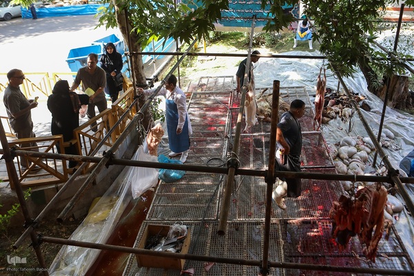 عید قربان، عید همدلی؛ ذبح بهداشتی قربانی در شیرخوارگاه آمنه برای نیازمندان
