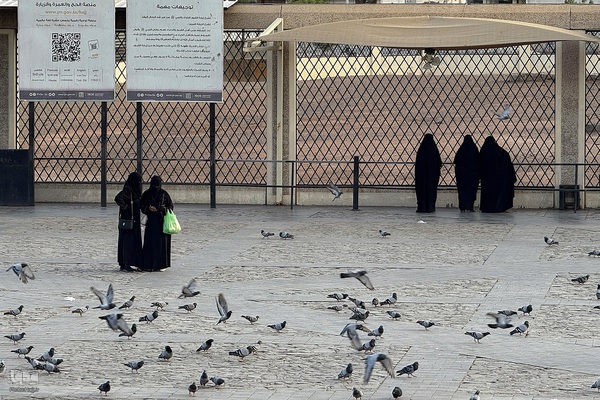 منطقه شهدای احد در مدینه منوره