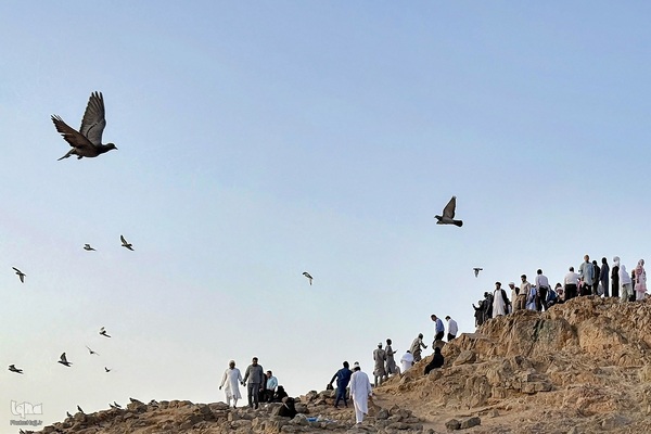 منطقه شهدای احد در مدینه منوره