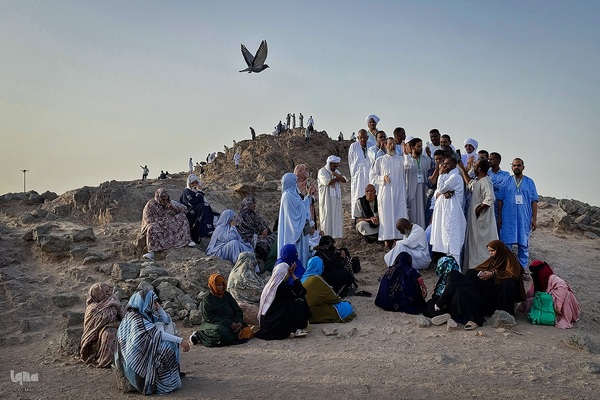 منطقه شهدای احد در مدینه منوره