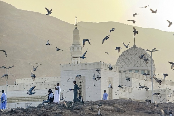 منطقه شهدای احد در مدینه منوره