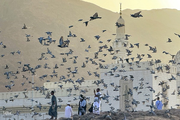 منطقه شهدای احد در مدینه منوره