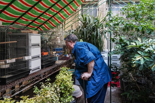 
دمی با جانِ جوانِ بخارا
