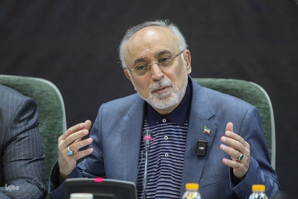 علی اکبر صالحی