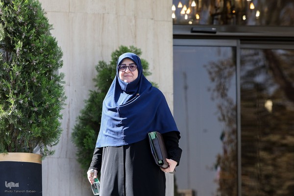 حاشیه جلسه هیئت دولت